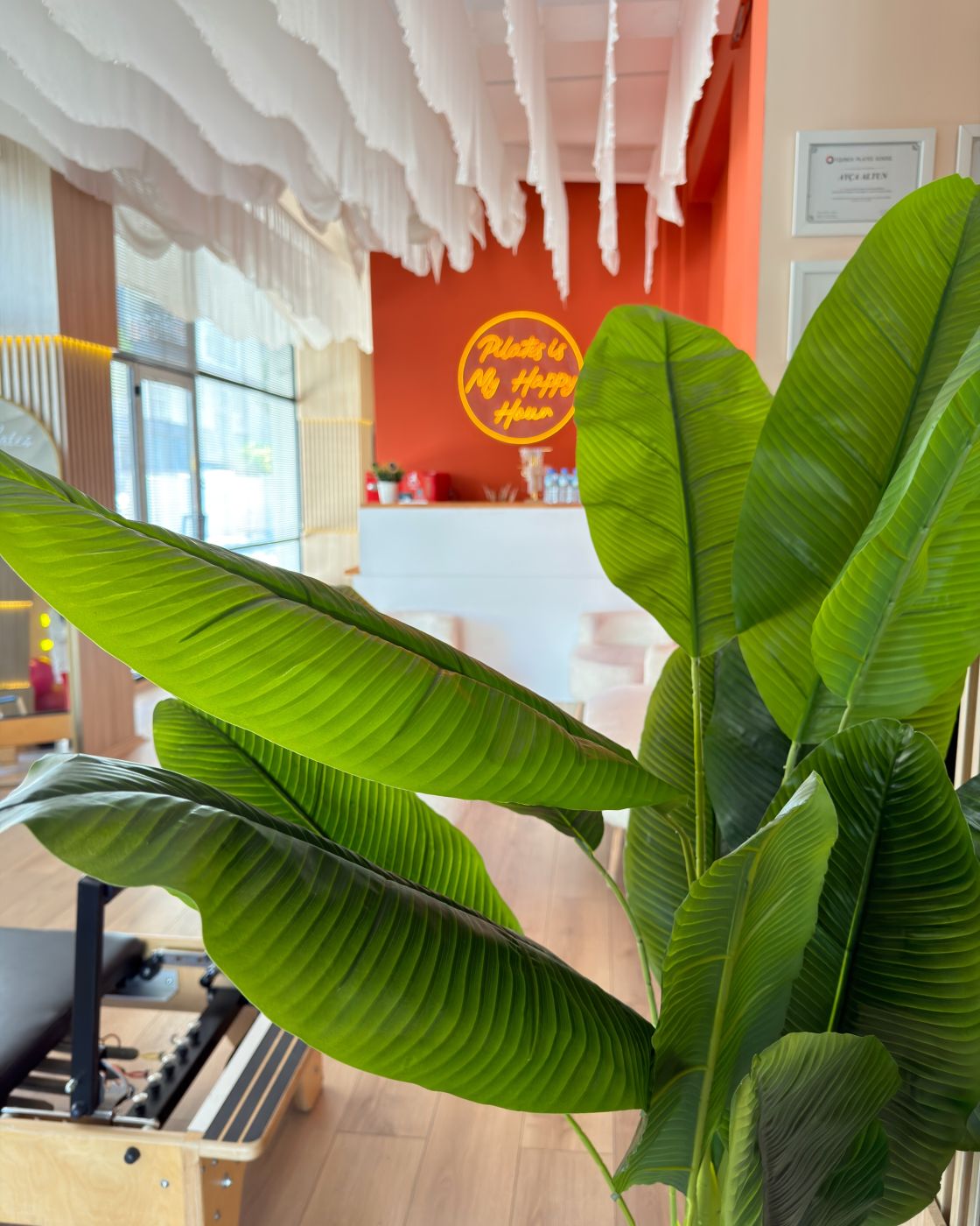 Kiremit rengi duvar ve Pilates is my happy hour neonu